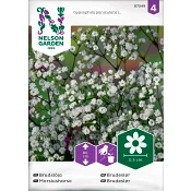 Brudslöja Enkel Vit 1-p Nelson Garden.