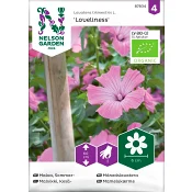 Malva Sommar Loveliness Organic 1-p Nelson Garden.