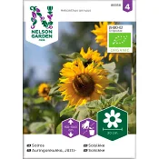 Solros Jätte Gul Organic 1-p Nelson Garden.