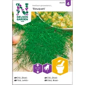 Dill Blad Bouquet 1-p Nelson Garden.