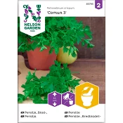 Persilja Slätbladig Comun 3 1-p Nelson Garden.