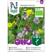Insektsblommor Organic 1-p Nelson Garden.
