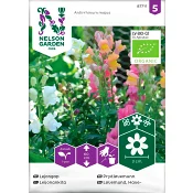 Lejongap Mix Organic 1-p Nelson Garden.