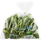 Repad grönkål Klass 1 200g Kviagård.