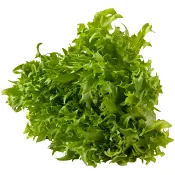 Krispsallat ca 125g Klass 1.