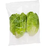 Hjärtsallat Little gem 200g Klass 1.