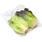 Hjärtsallat Grön &amp; röd 220g Klass 1.