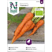 Morot, Höst Vinter, Flakkée Nelson Garden.