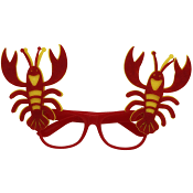 Glasögon Kräfta Festive.