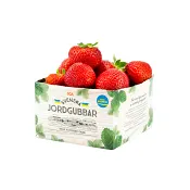 Jordgubbar 1L-p Klass 1 ICA.