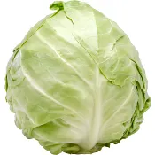 Vitkål Färsk ca 1,28kg Klass 1 ICA.