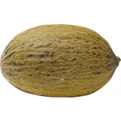 Piel de Sapomelon ca 1,25kg Klass 1.