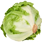 Isbergssallad ca 600g Klass 1 ICA.