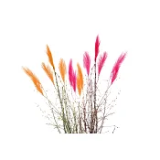 Påskris i bunt med fjädrar Varierande färger.