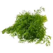 Dill Klass ca 50g Klass 1 ICA.