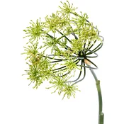 Krondill knippe ca 50g Klass 1 ICA.