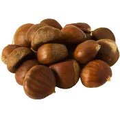 Kastanjer Klass 1 ICA.