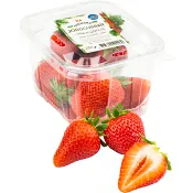 Jordgubbar 250g Klass 1 ICA.