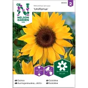 Solros Gul Jätte 1-p Nelson Garden.