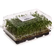 Krasse 100g Klass 1 ICA.