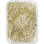 Alfalfagroddar Ekologiska 130g KRAV Klass 1.