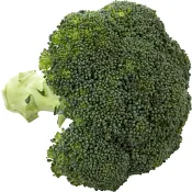 Broccoli 250g Klass 1.
