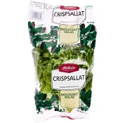 Crispsallad Ekologisk 100g Klass 1 Hällnäs Handelsträdgård.