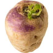 Majrova ca 300g Klass 1.