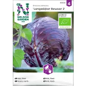 Rödkål Langedi Bewaar 2 1-p Nelson Garden.