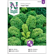 Grönkål Half Tall 1-p Nelson Garden.