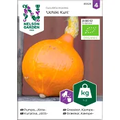 Pumpa Jätte Organic 1-p Nelson Garden.