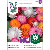 Eternell Jätte 1-p Nelson Garden.