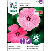 Malva Sommar Silver Cup Rosa 1-p Nelson Garden.