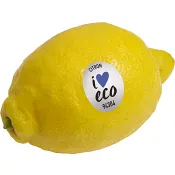 Citron eko ca 100g Klass 1 ICA.