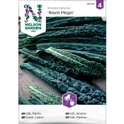 Kål Palm Black Magic 1-p Nelson Garden.