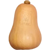 Pumpa Butternut Ekologisk ca 900g Klass 1 ICA.