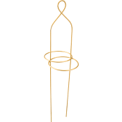 Amaryllisstöd Guld 1-p.