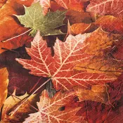 Servett Lönnlöv 33cm 20-p ICA.