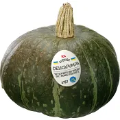 Pumpa Delica ca 1kg Klass 1 ICA.