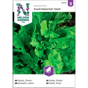 Sallat Plock Australischer Gele 1-p Nelson Garden.