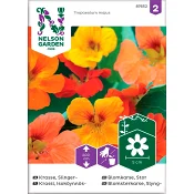 Krasse Slinger 1-p Nelson Garden.