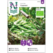 Bondböna Express 1-p Nelson Garden.