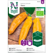 Spetspaprika Zazu 1-p Nelson Garden.