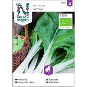 Mangold White Silver Organic 1-p Nelson Garden.