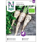 Palsternacka White King 1-p Nelson Garden.