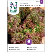 Sallat Plock Amerikanischer Brau 1-p Nelson Garden.