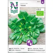 Kål Asiatisk Tats 1-p Nelson Garden.