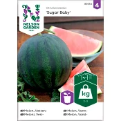 Melon Vatten Sugar Baby 1-p Nelson Garden.