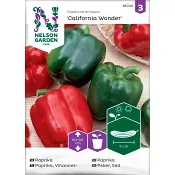 Paprika California Wonder 1-p Nelson Garden.