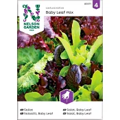 Sallat Baby Leaf mix 1-p Nelson Garden.